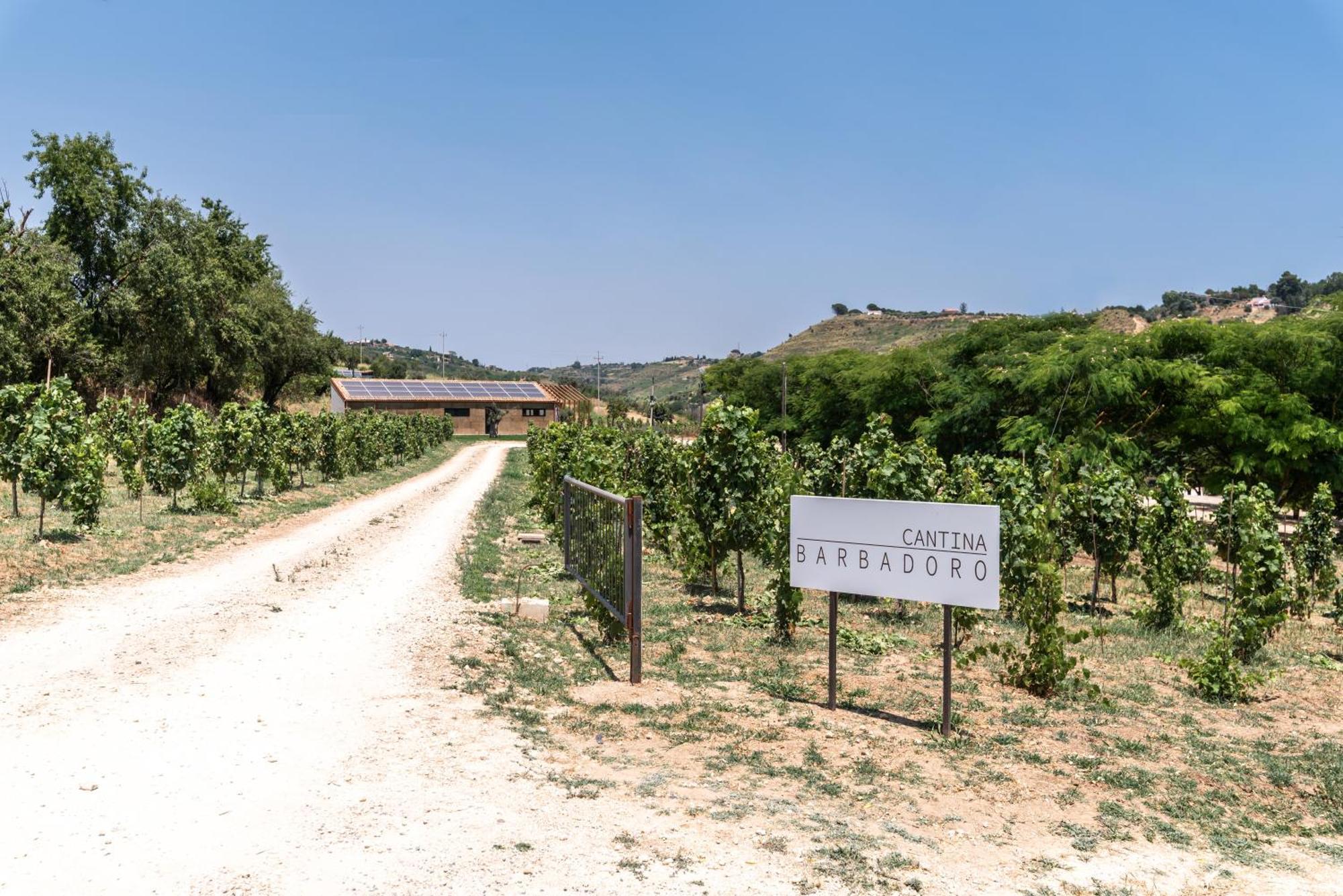 Cottage Immerso Nel Vigneto Caltagirone Exterior foto