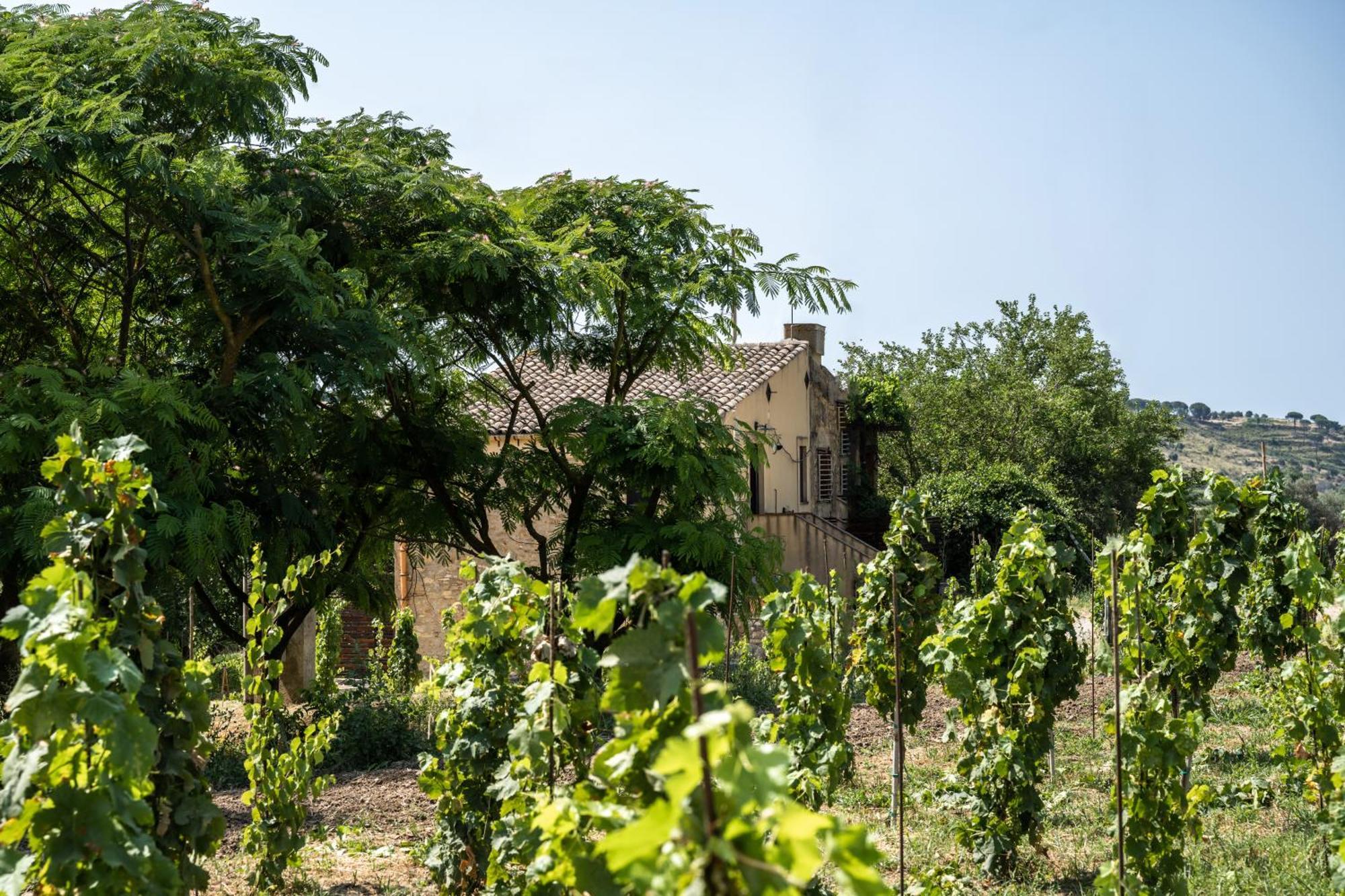 Cottage Immerso Nel Vigneto Caltagirone Exterior foto